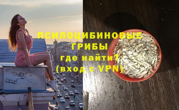 мдпв Армянск